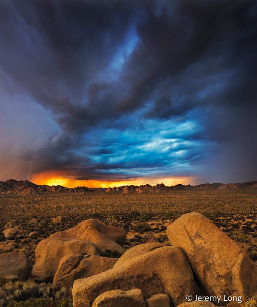 Joshua Tree Storm