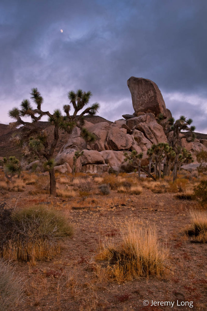 Tomstone Rock